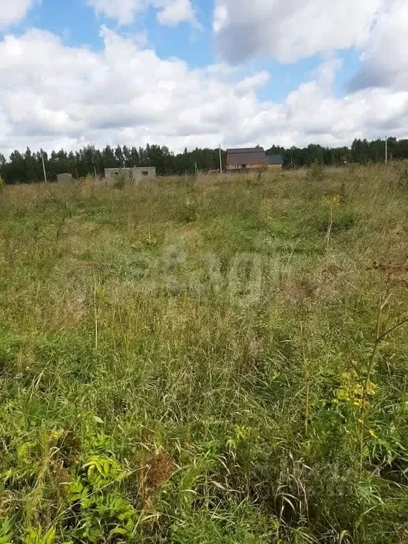 Участок в Калужская область, Калуга городской округ, д. Лихун ул. ... - Фото 2