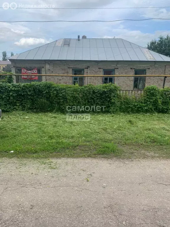 Дом в Чаплыгин, улица Ломоносова, 108 (48 м) - Фото 1