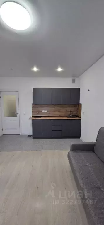 Студия Московская область, Пушкино Новое Пушкино мкр,  (26.5 м) - Фото 0