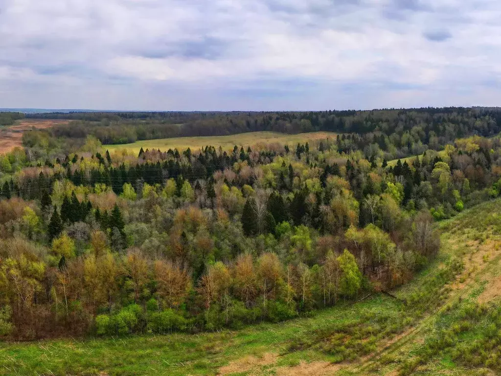 Участок в Московская область, Клин городской округ, д. Соголево  (8.23 ... - Фото 1