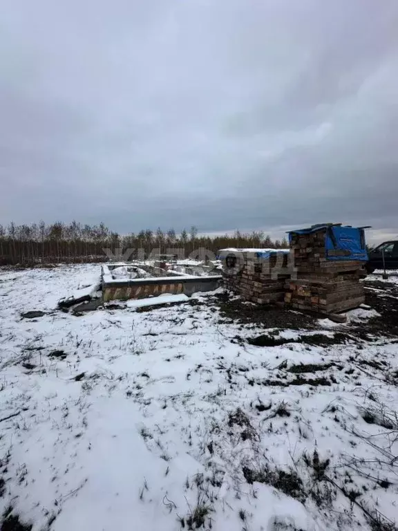 Участок в Новосибирская область, Колыванский район, Большая Семья СНТ  ... - Фото 1