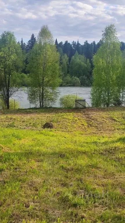 Участок в Алтай, Турочакский район, с. Верх-Бийск Береговая ул. (50.0 ... - Фото 1