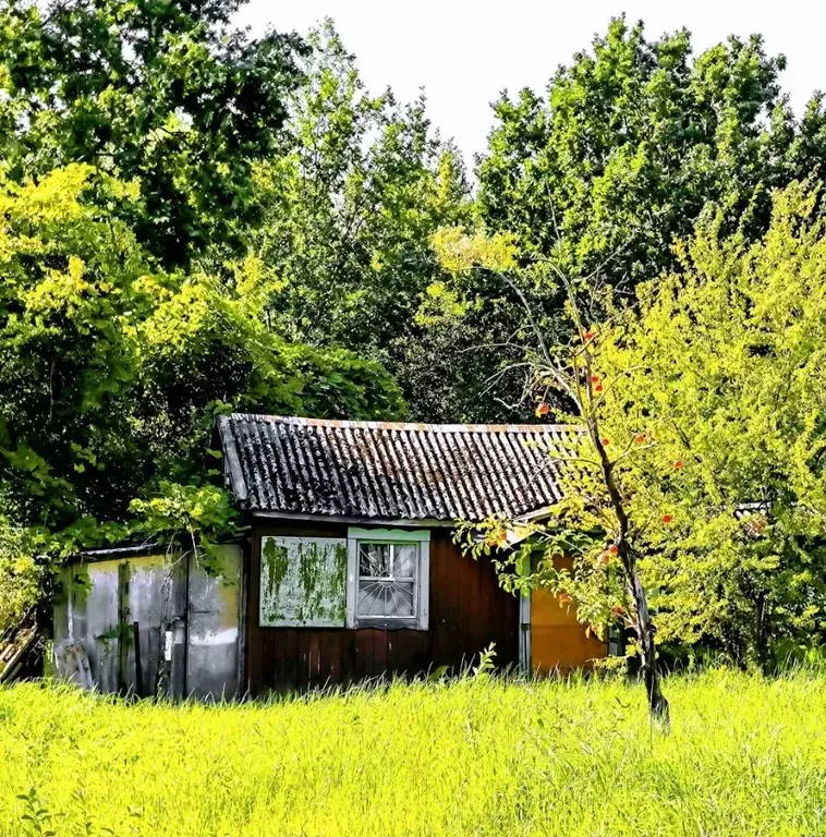 Дом в Калининградская область, Калининград Муромская ул. (25 м) - Фото 0