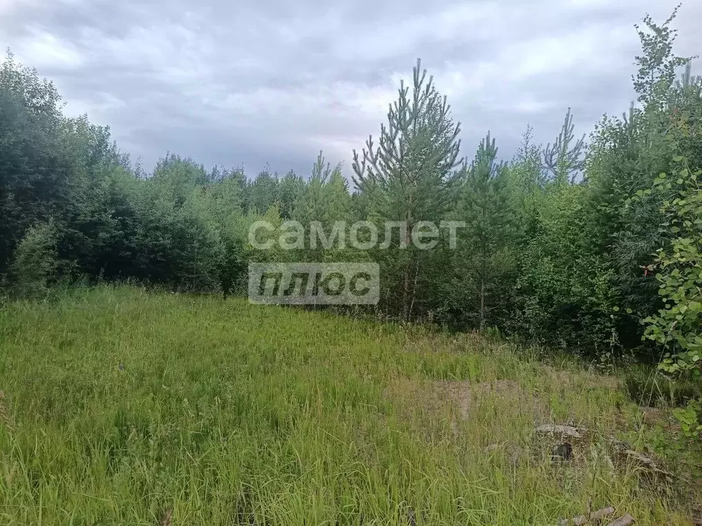 Участок в Коми, Сыктывкар городской округ, Верхняя Максаковка пгт 2-я ... - Фото 1