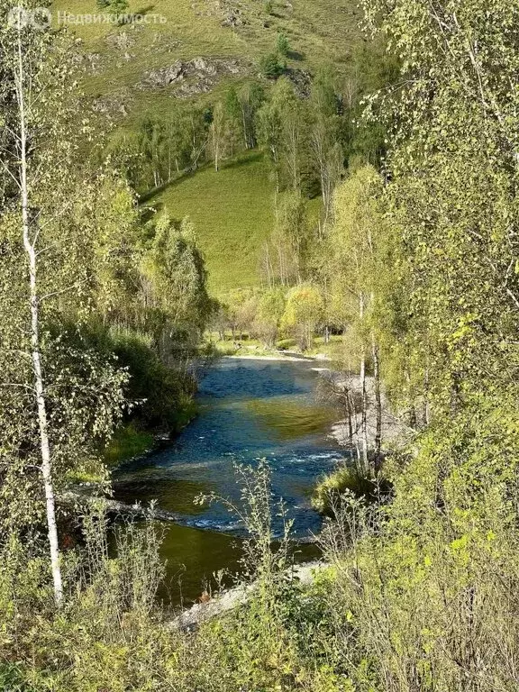 Участок в Чемальский район, село Чемал (24.72 м) - Фото 0