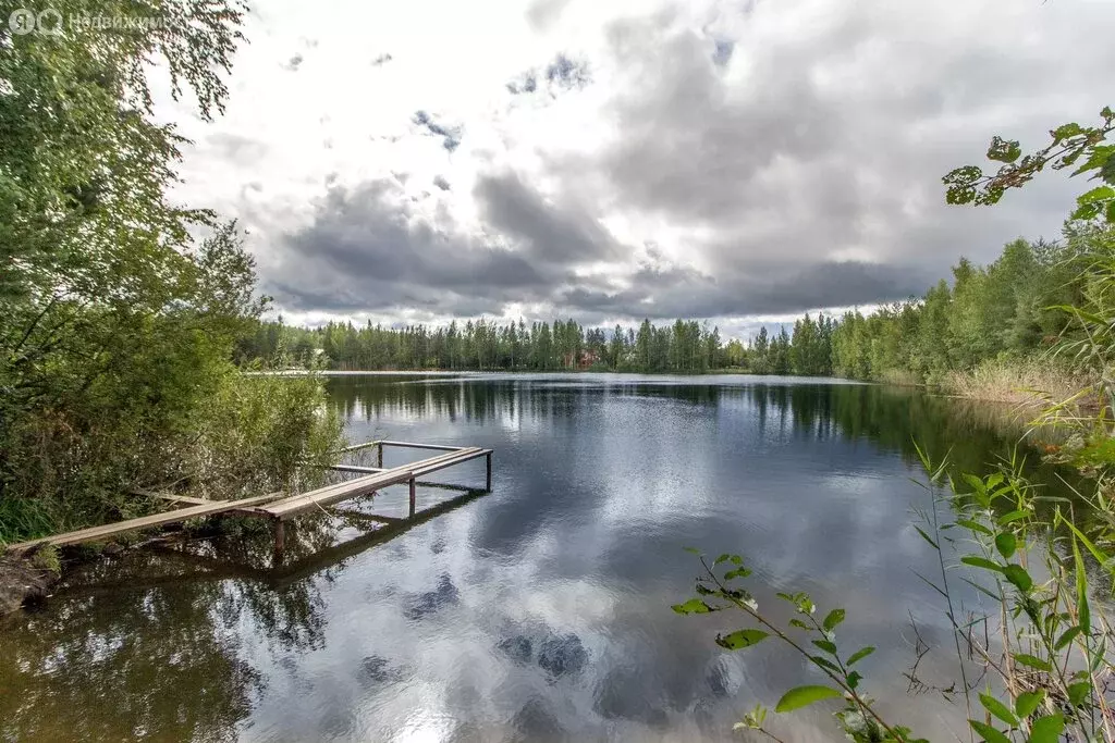Участок в Пениковское сельское поселение, деревня Большое Коновалово ... - Фото 1