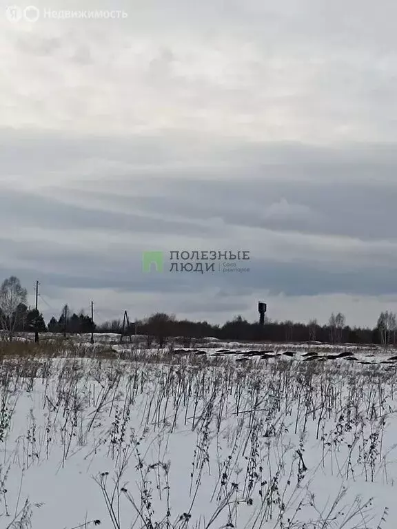Участок в село Шалинское, улица Щетинкина, 143 (19 м) - Фото 1