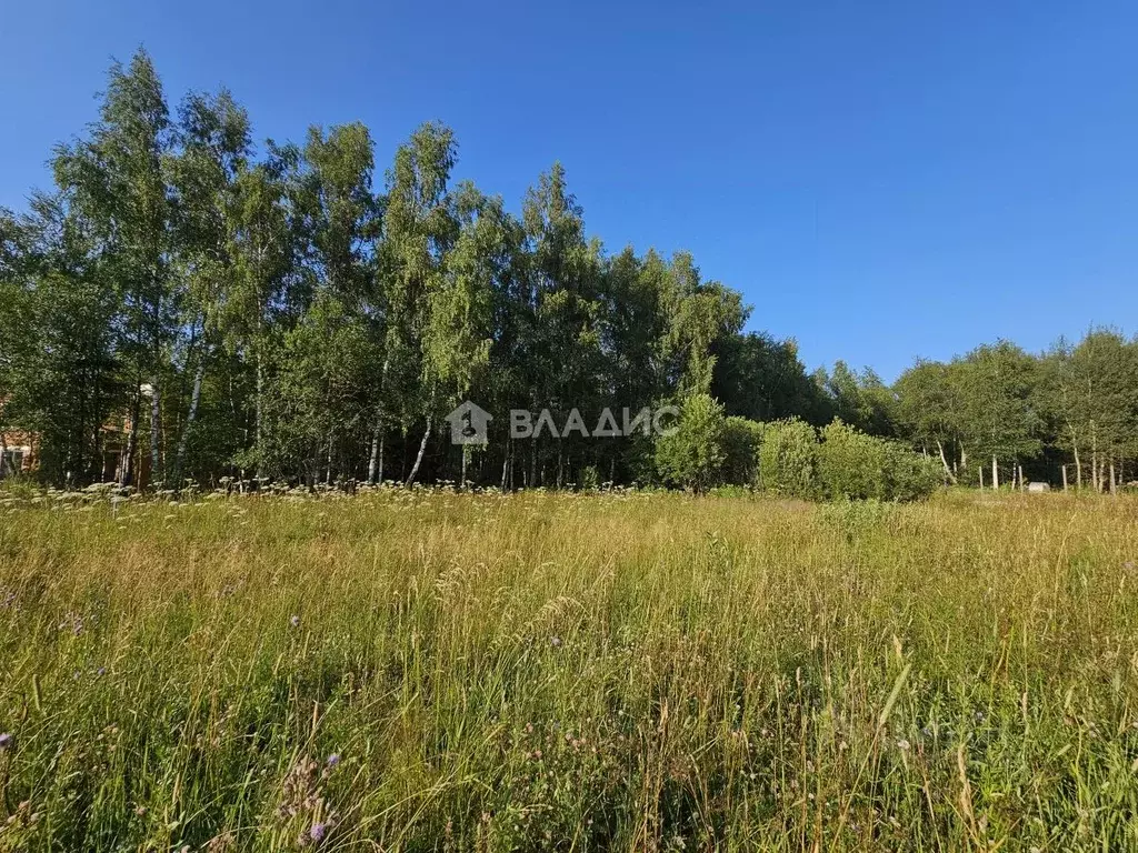 Участок в Московская область, Дмитровский городской округ, Объединения ... - Фото 0