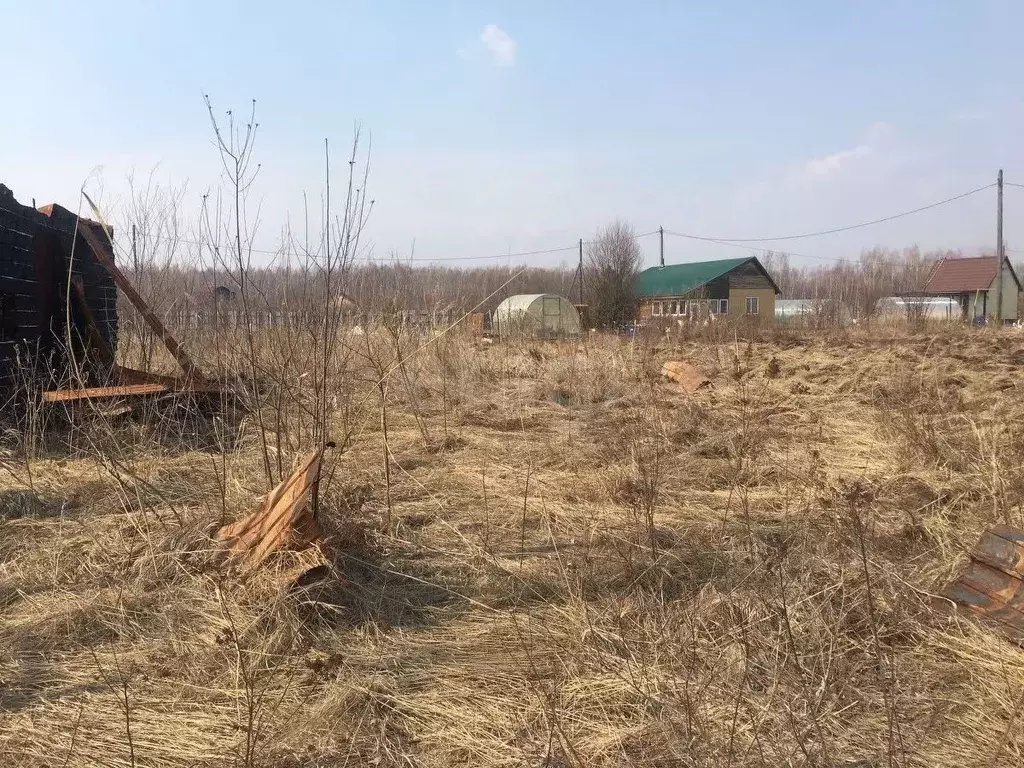Участок в Еврейская автономная область, Смидовичский район, Минерал ... - Фото 2