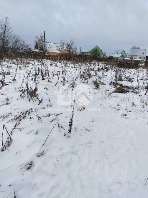 Дом в Новосибирская область, Мошковский район, с. Новомошковское  (51 ... - Фото 1