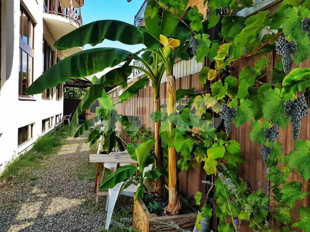 Дом в Краснодарский край, Сочи Львовская ул., 7Ж (522 м) - Фото 2