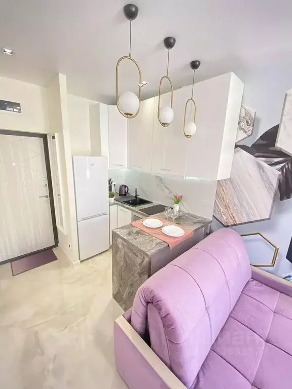 Студия Краснодарский край, Сочи ул. Ленина, 298В/2 (24.0 м) - Фото 2