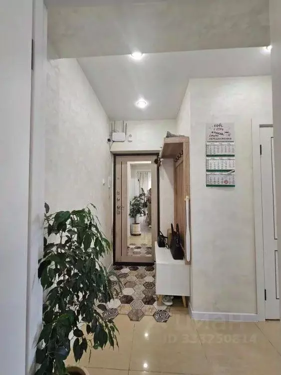 2-к кв. Иркутская область, Иркутск Братская ул., 7/10 (39.9 м) - Фото 2