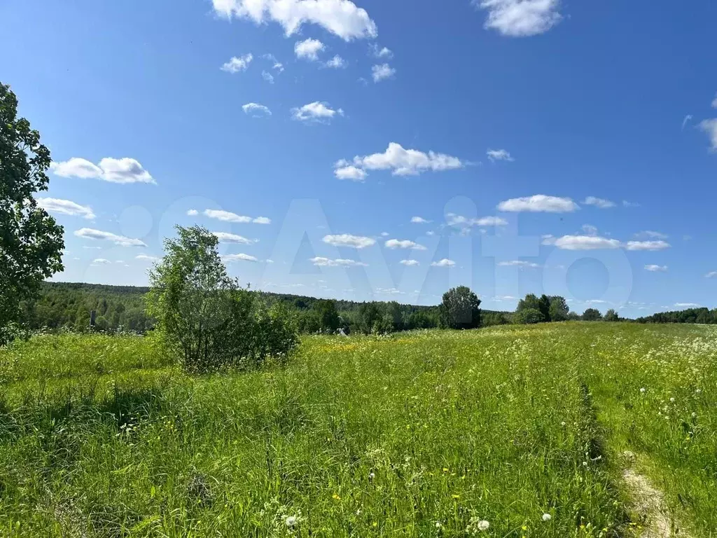 Участок 1,65 га (СНТ, ДНП) - Фото 1