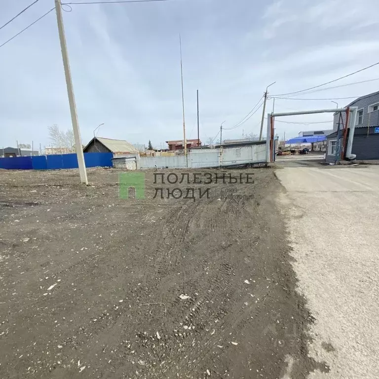 Торговая площадь в Курганская область, Курган Омская ул., 132 (3700 м) - Фото 2