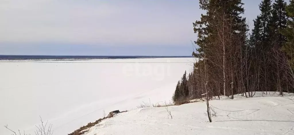 Участок в Коми, Усть-Цилемский район, Коровий Ручей муниципальное ... - Фото 1