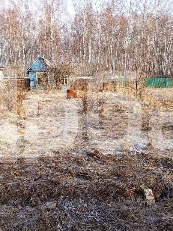 Участок в Костромская область, Кострома Восход СНТ,  (4.22 сот.) - Фото 0