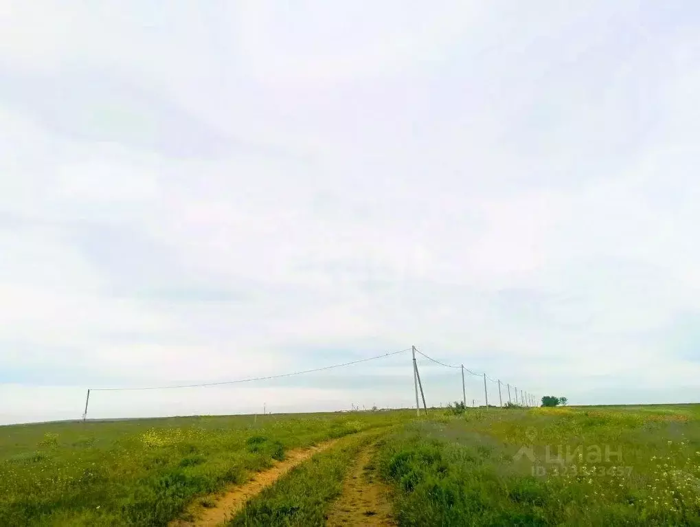 Участок в Крым, Кировский район, Синицынское с/пос, с. Васильковое ул. ... - Фото 1