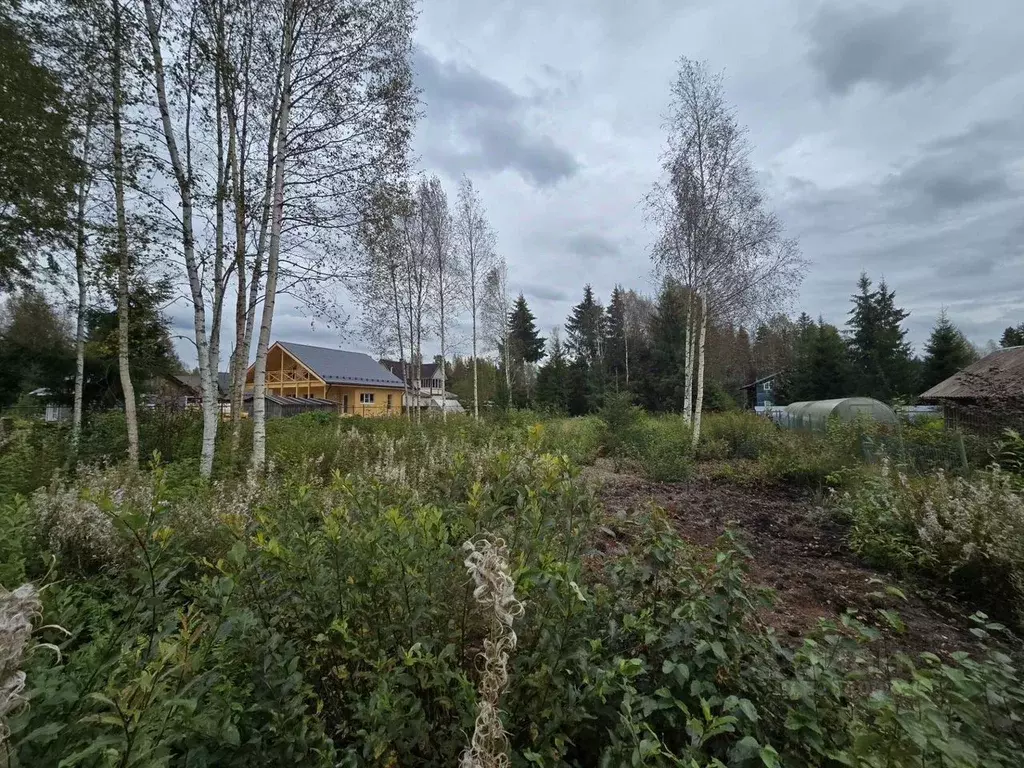 Участок в Ленинградская область, Всеволожский район, Агалатовское ... - Фото 1