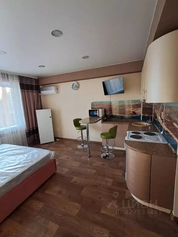 Студия Иркутская область, Иркутск ул. Пискунова, 148 (29.6 м) - Фото 2