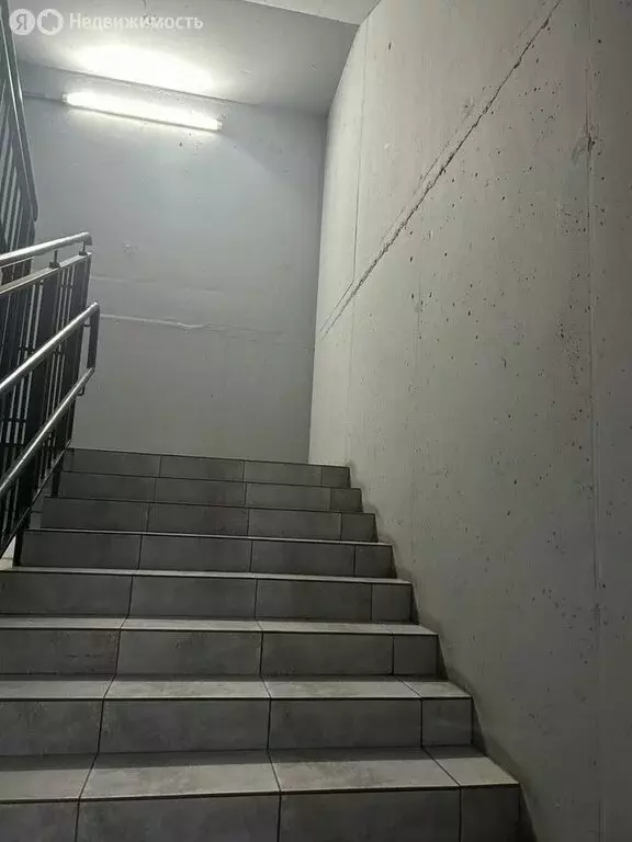 Помещение свободного назначения (600 м) - Фото 2