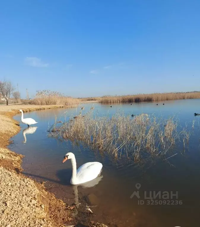 Участок в Крым, Сакский район, с. Охотниково ул. Крымская (6.0 сот.) - Фото 2