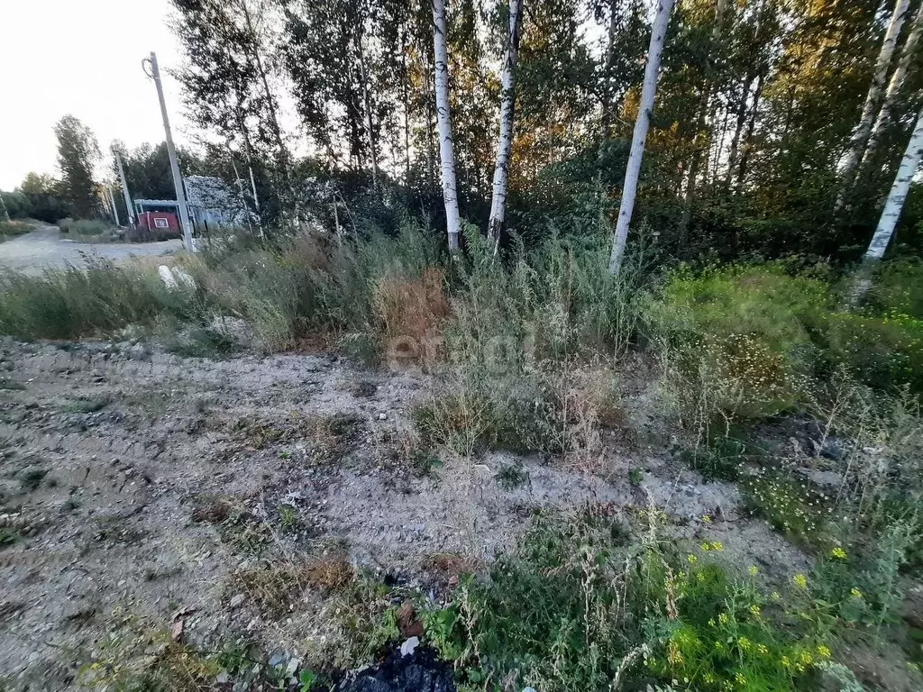 Участок 11,1 сот. (СНТ, ДНП) - Фото 1