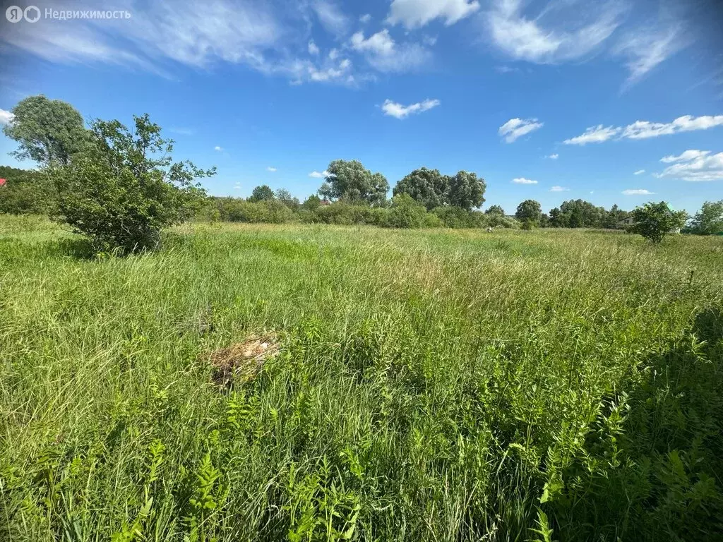 Участок в Булгаковский сельсовет, СНТ Раздолье, 58 (10 м) - Фото 2