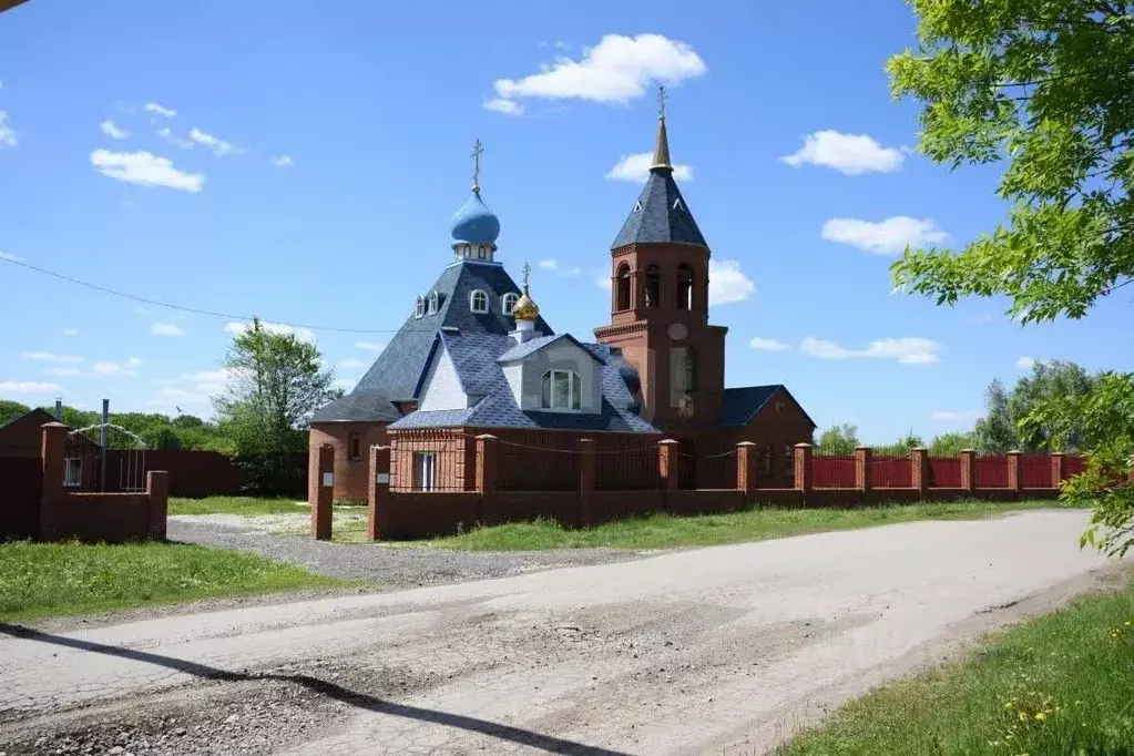 Дом в Самарская область, Кинельский район, Домашка с/пос, с. Домашка ... - Фото 2