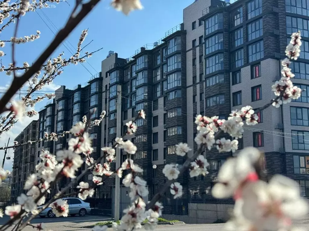 3-комнатная квартира: Ессентуки, улица Шмидта, 80/2с (81.4 м) - Фото 2