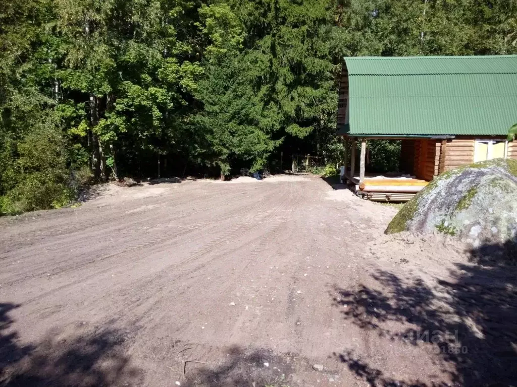 Участок в Ленинградская область, Выборгский район, Приморское ... - Фото 1