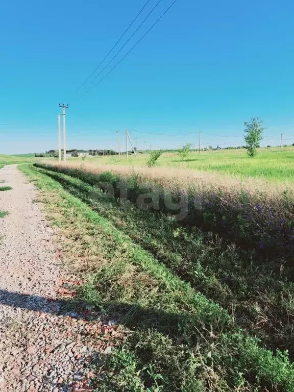 Участок в Саратовская область, Балашовский район, Хоперское ... - Фото 1