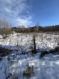 Участок в Амурская область, Благовещенский район, Малина СТ  (6.0 ... - Фото 1