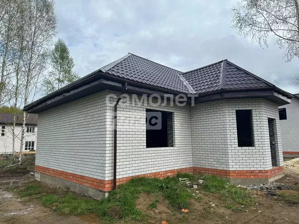 Дом в Нижегородская область, Бор городской округ, д. Васильково ул. ... - Фото 1