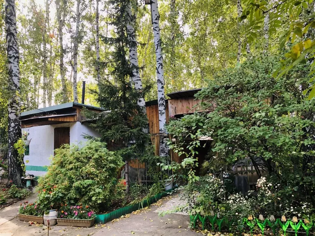 Дом в Омская область, Омск СОСН Мир тер.,  (43 м) - Фото 1