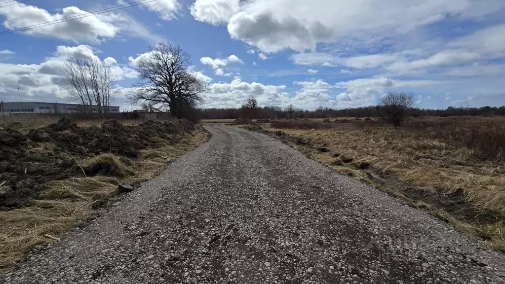 Участок в Калининградская область, Гурьевский муниципальный округ, ... - Фото 1
