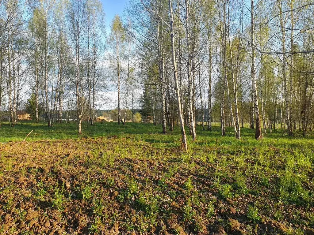 Участок в Московская область, Клин городской округ, д. Марфино  (12.0 ... - Фото 2