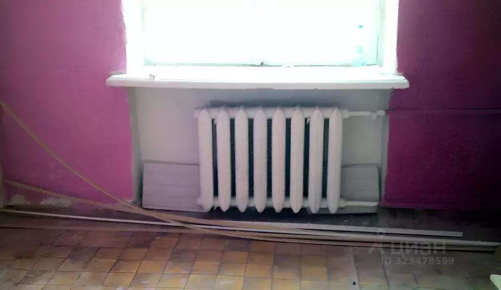 Помещение свободного назначения в Новосибирская область, Новосибирск ... - Фото 1