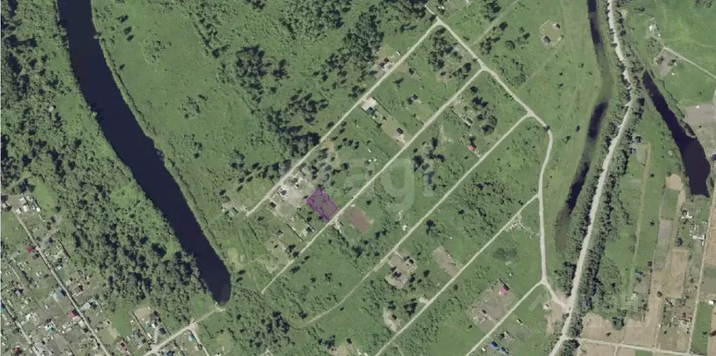 Участок в Новосибирская область, Коченевский район, Тальник СНТ ул. ... - Фото 1