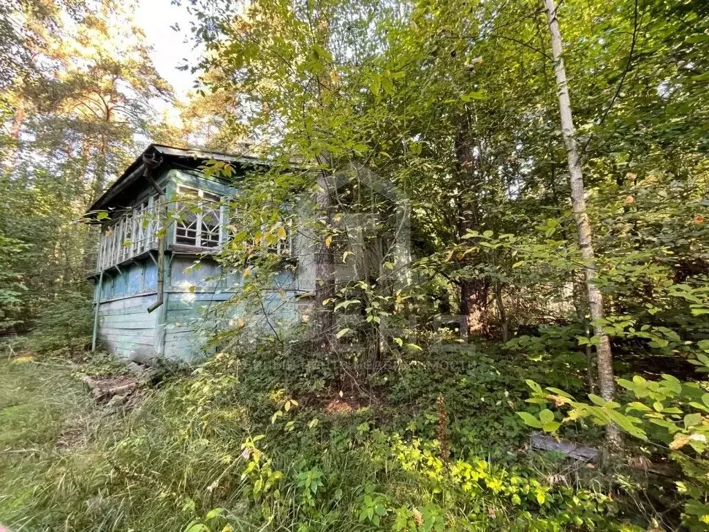 Участок в Ленинградская область, Всеволожский район, Токсовское ... - Фото 0