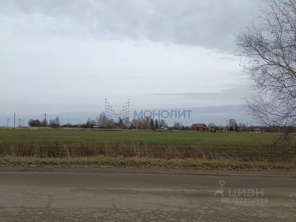 Участок в Нижегородская область, Богородский муниципальный округ, д. ... - Фото 1