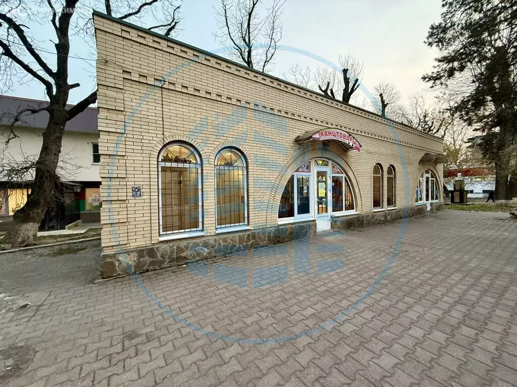 Торговая площадь (37.1 м) - Фото 2