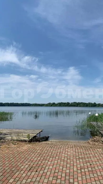 Продается дом в д. Лопотово - Фото 1