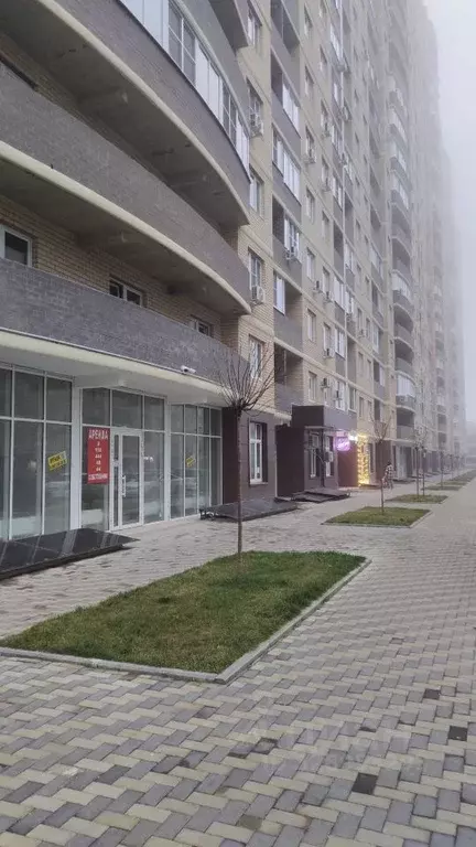 Помещение свободного назначения в Краснодарский край, Краснодар Имени ... - Фото 2