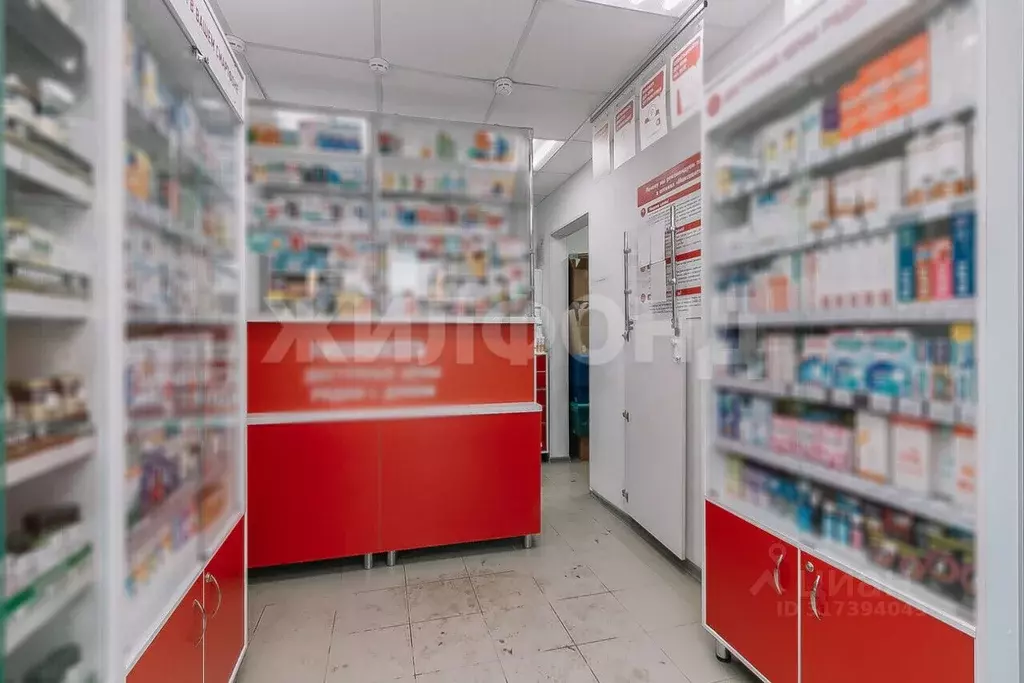 Торговая площадь в Новосибирская область, Новосибирск ул. Дуси ... - Фото 1