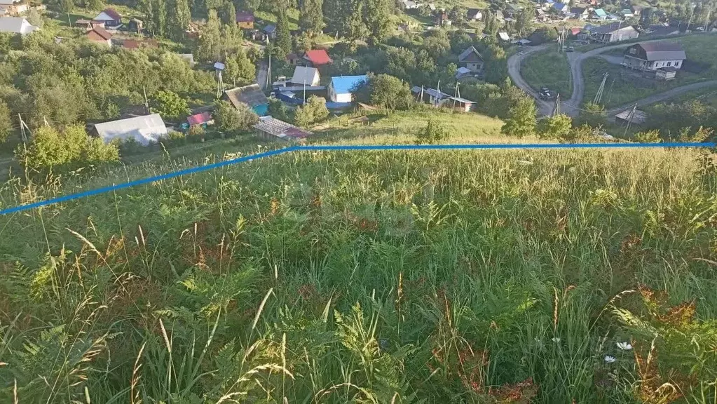 Участок в Алтай, Майминский район, с. Кызыл-Озек ул. Ануйская, 1 ... - Фото 0