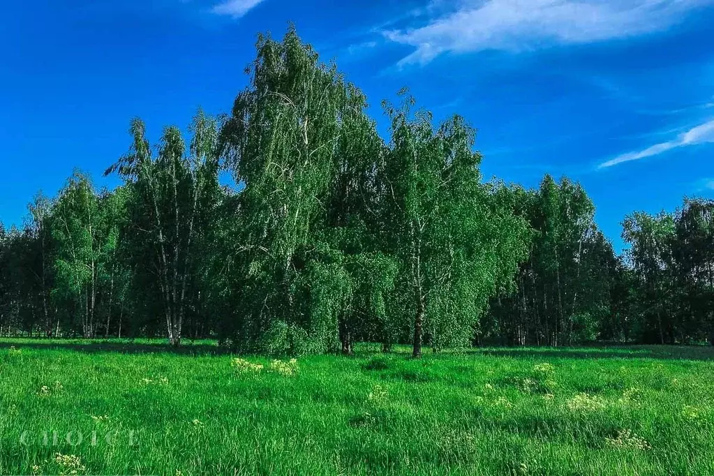 Участок в Московская область, Одинцовский городской округ, д. Раздоры  ... - Фото 0