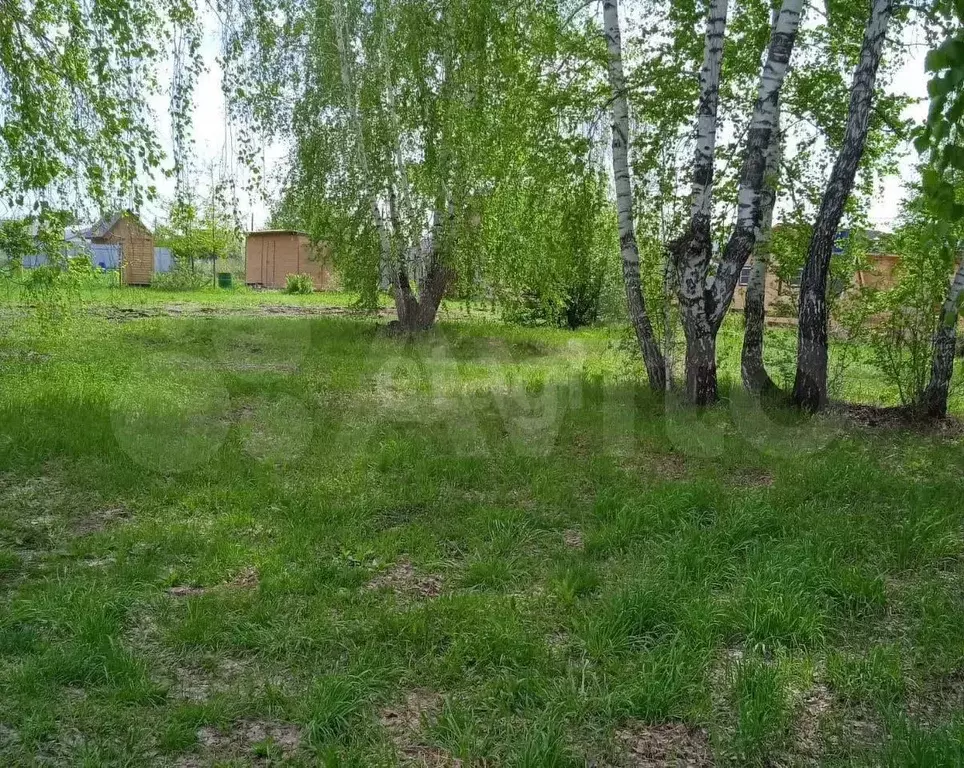 Участок 5 сот. (СНТ, ДНП) - Фото 0
