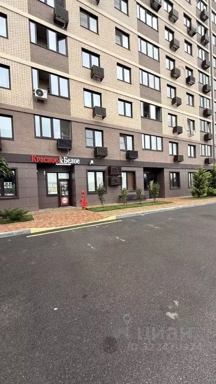 Торговая площадь в Краснодарский край, Краснодар ул. Скандинавская, ... - Фото 2