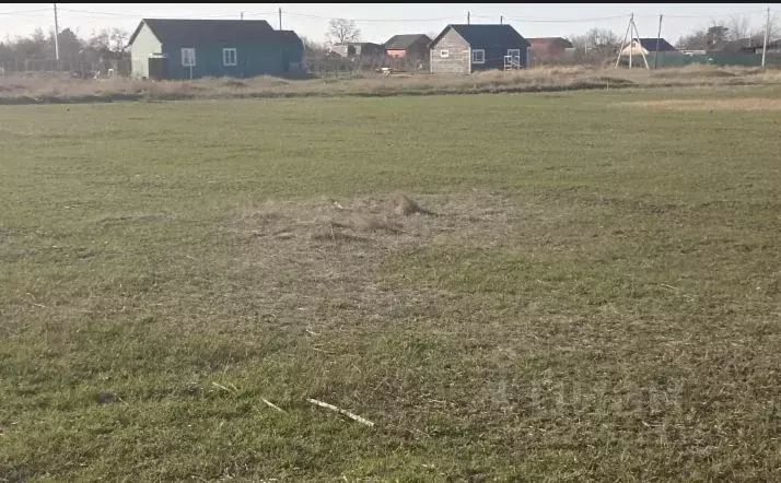 Участок в Краснодарский край, Ейский район, Должанская ст-ца пер. ... - Фото 2
